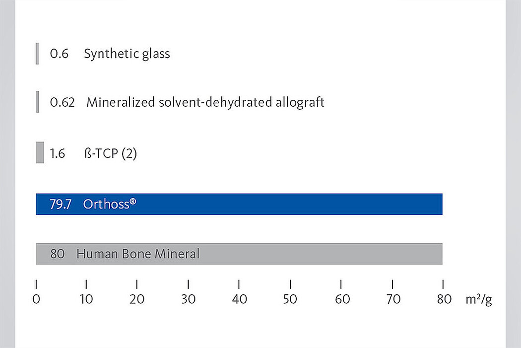 Die Oberfläche von Orthoss® im Vergleich mit anderen Knochenersatzmaterialien<sup>3</sup>